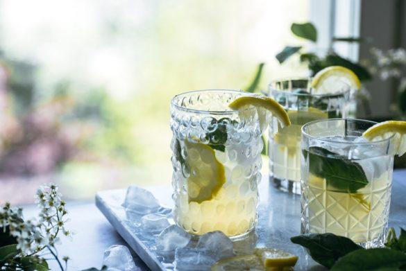 Sitruuna-basilikajäätee