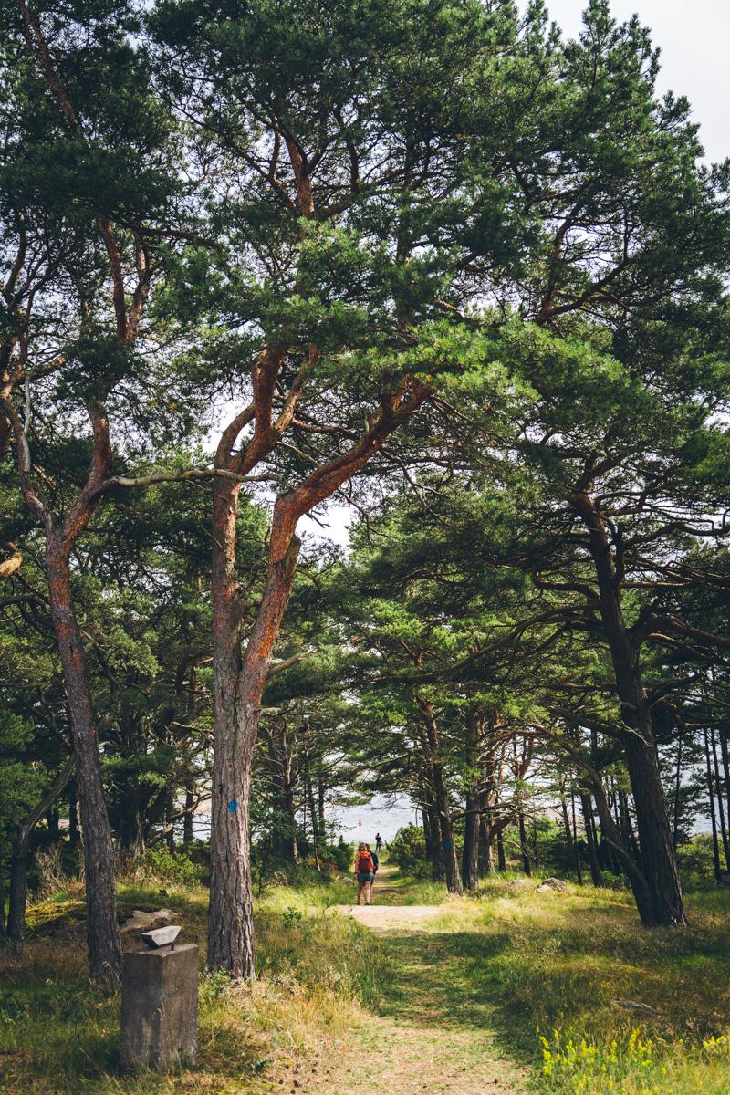 Örö saari