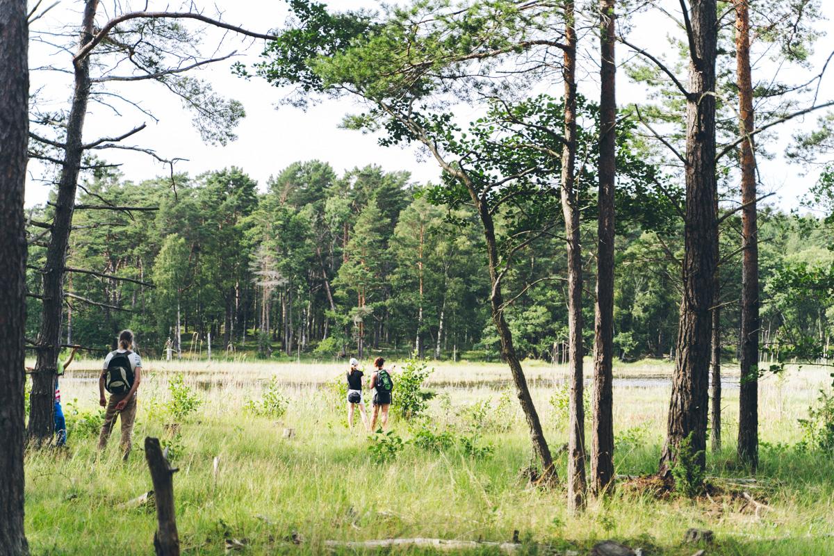 Örö saari