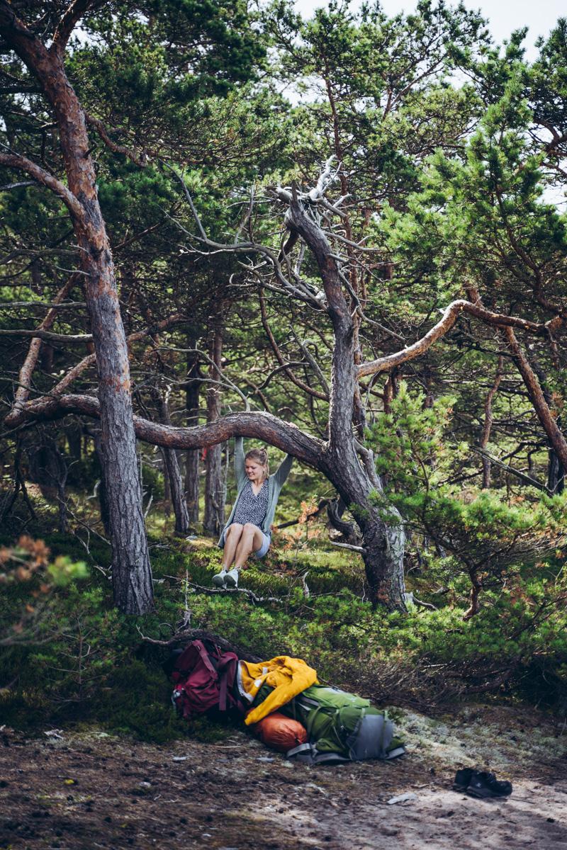 Örö saari