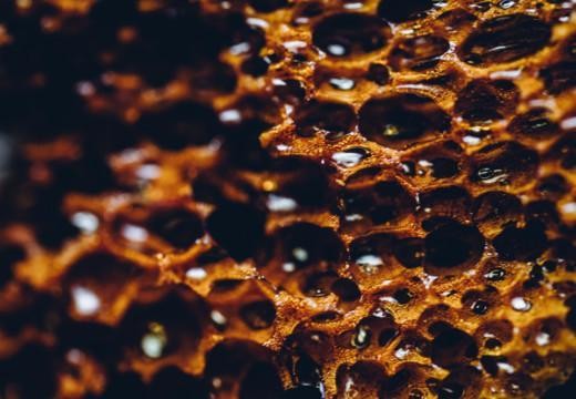 Honeycomb. Hunajakenno