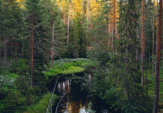 Hossan kansallispuisto