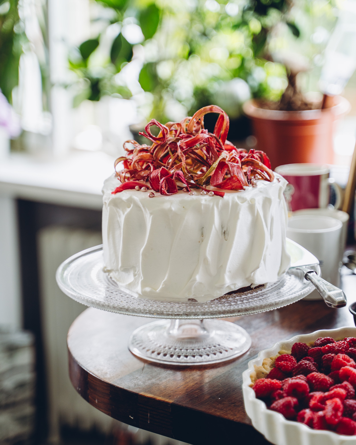 Raparperi-kinuskitäytekakku. Vegaaninen