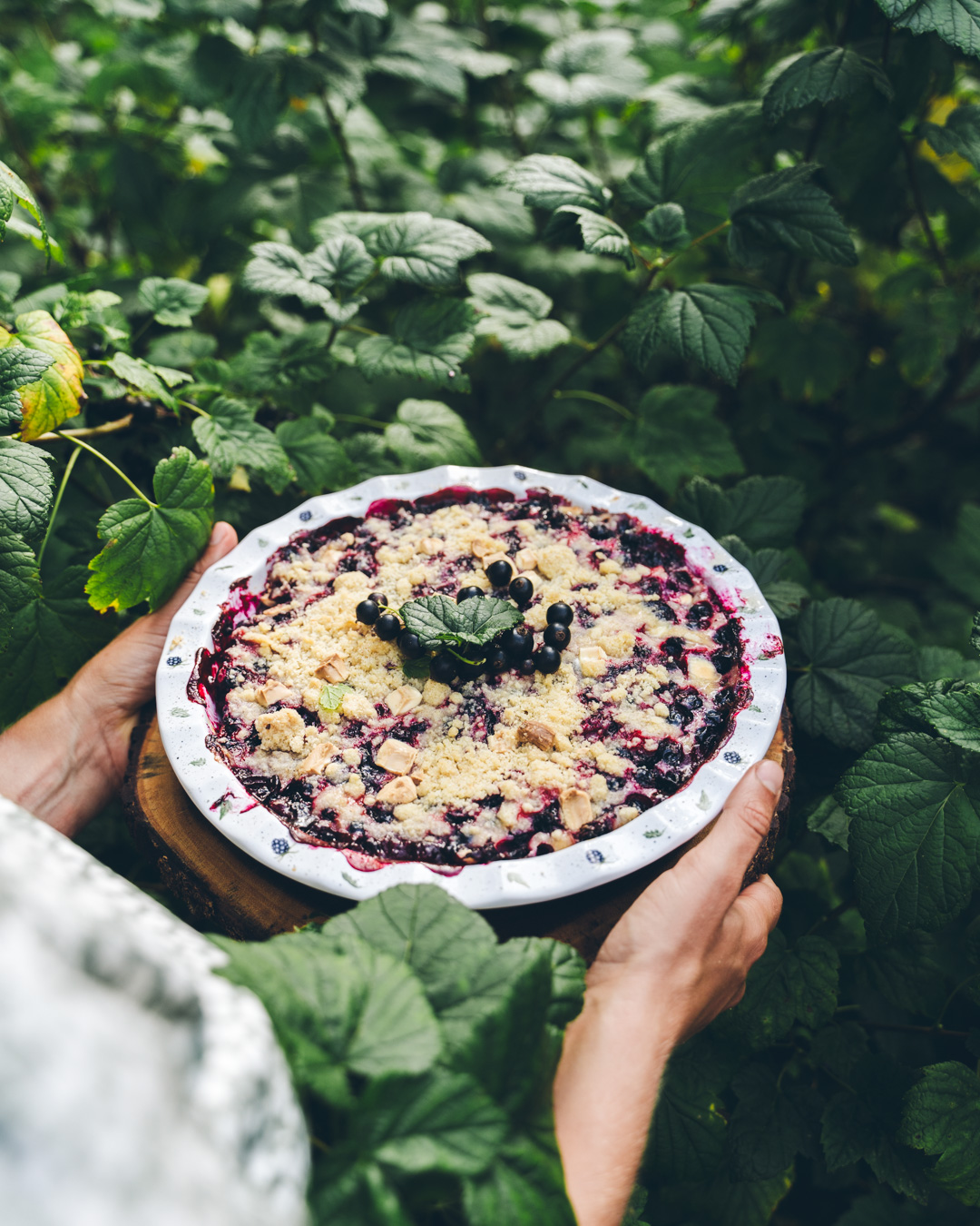 Mustaherukkapiirakka