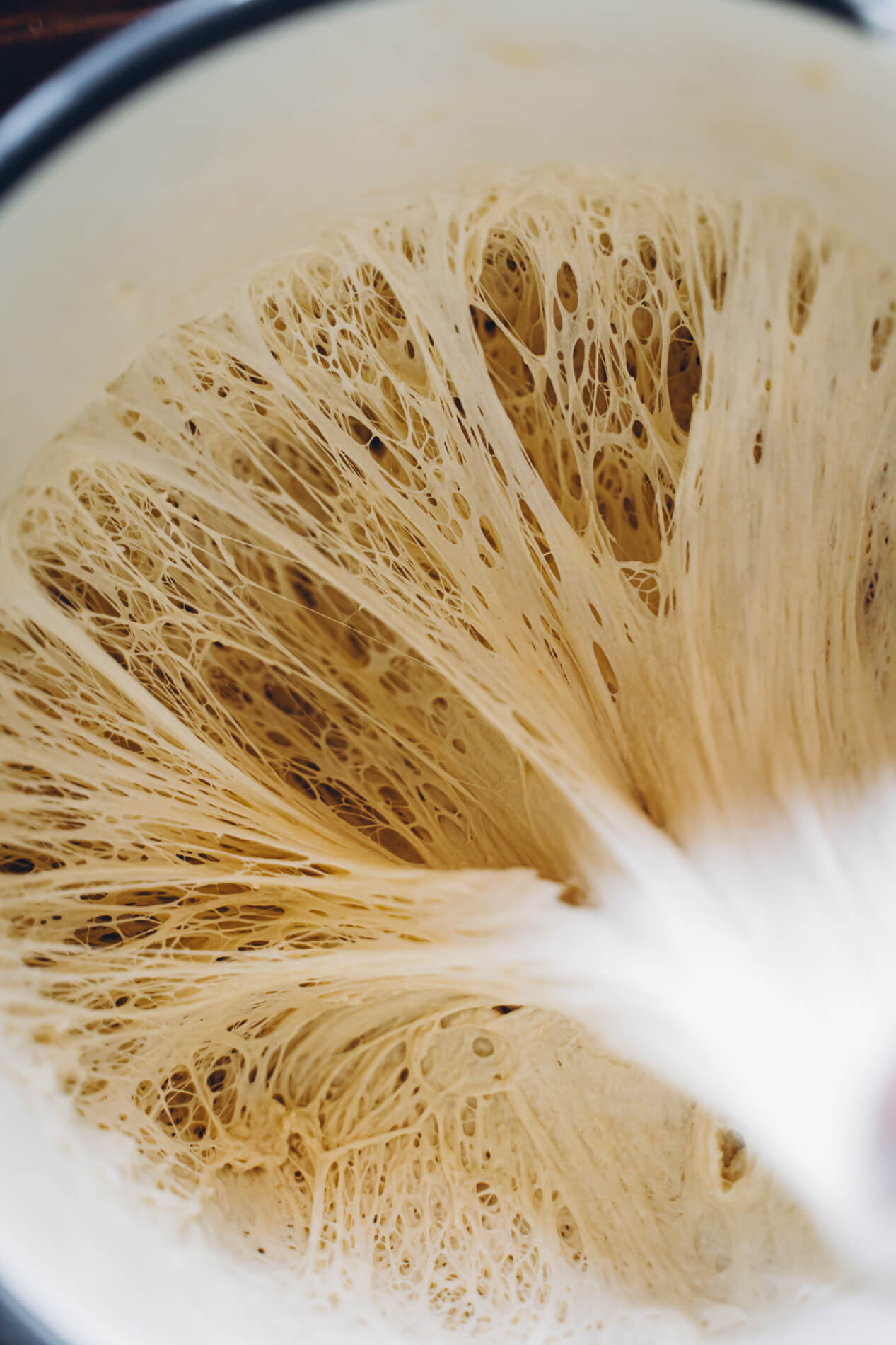 Vegaaniset hampurilaissämpylät