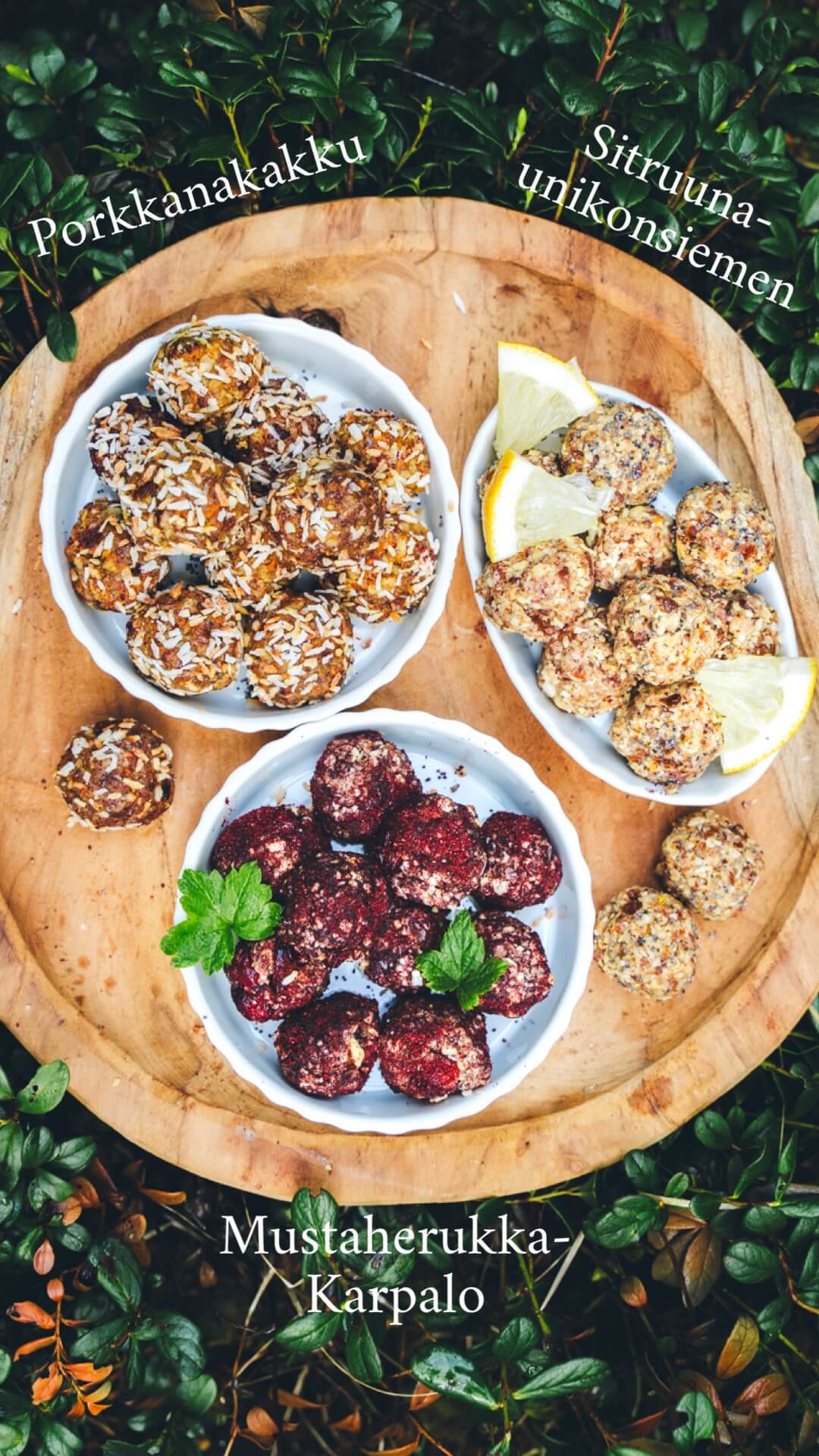 Proteiinipitoiset eväspallerot