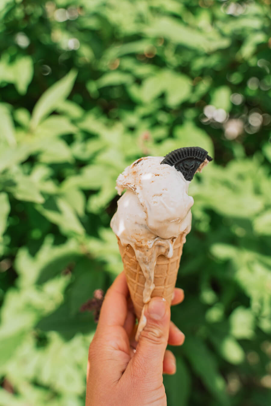 Lakritsijäätelö ilman jäätelökonetta. Vegaaninen