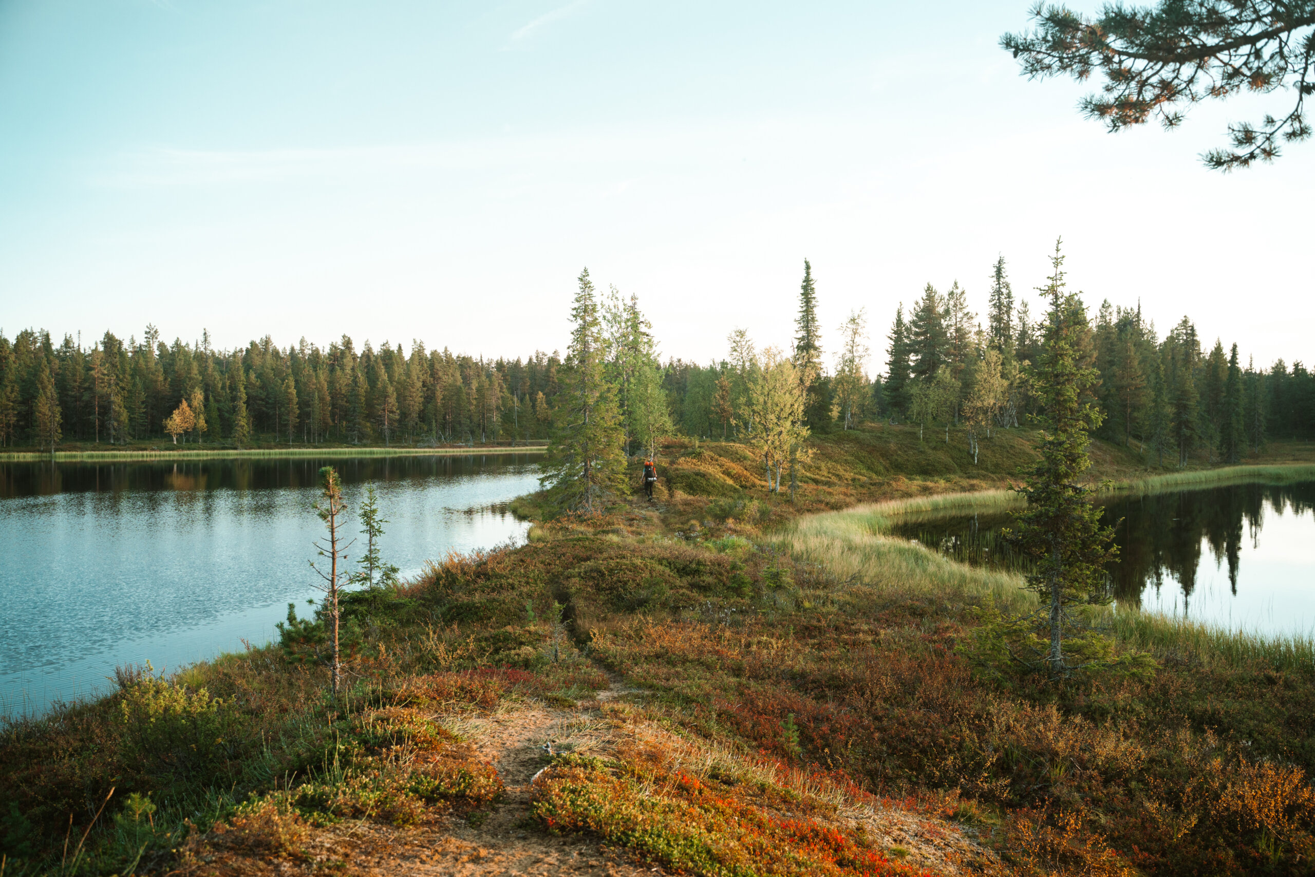 Hammastunturi vauvavaellus