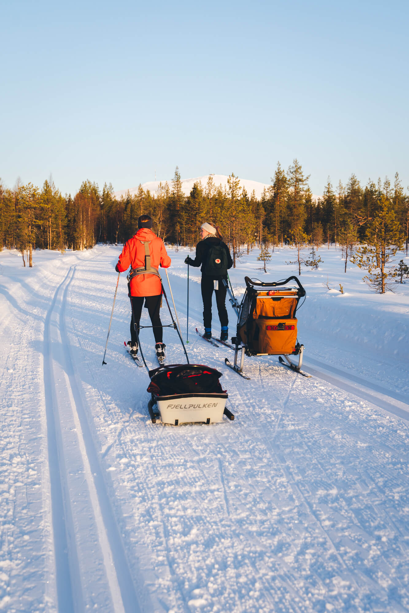 Thule multisport
